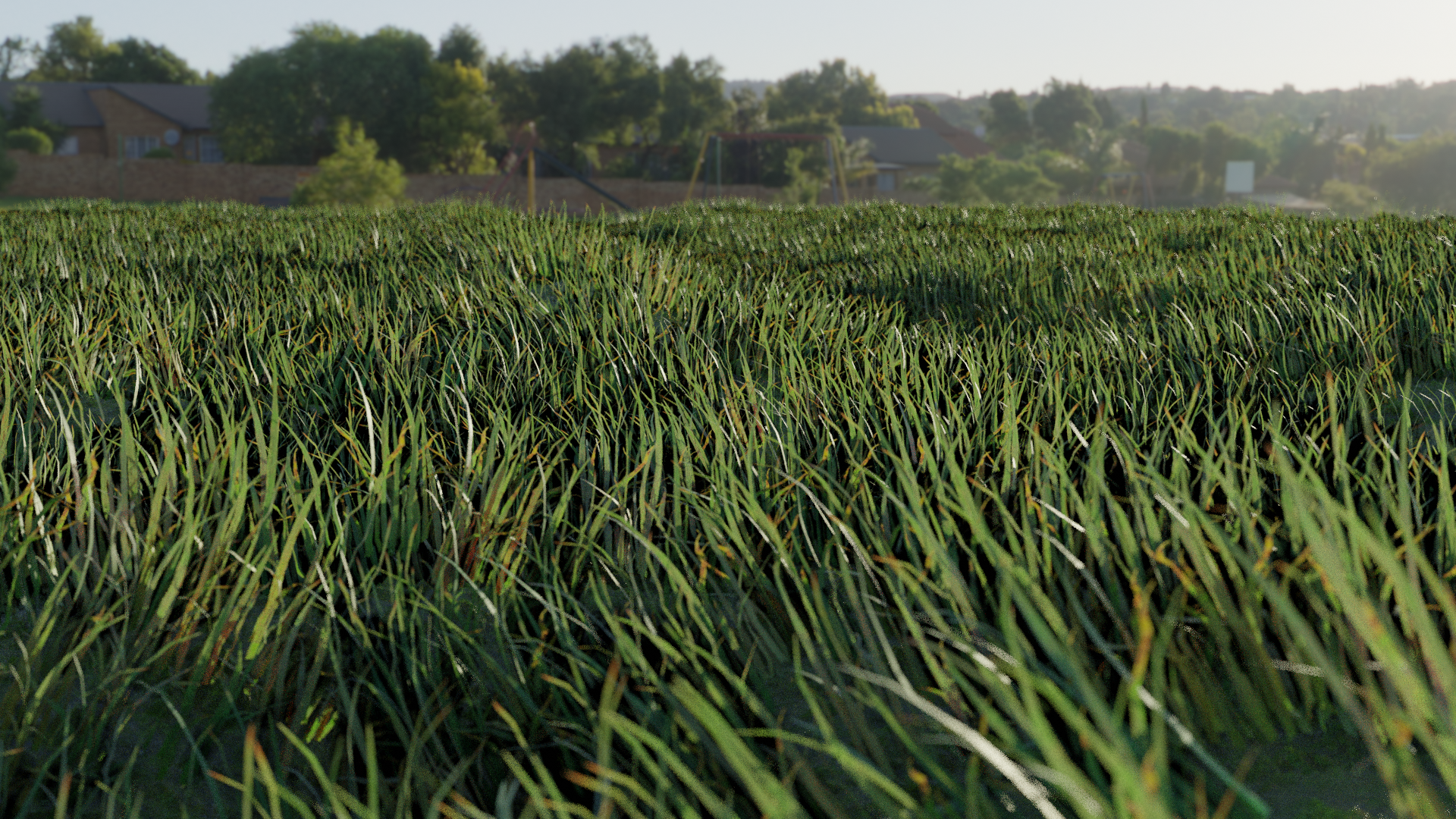 Picture of grassy field