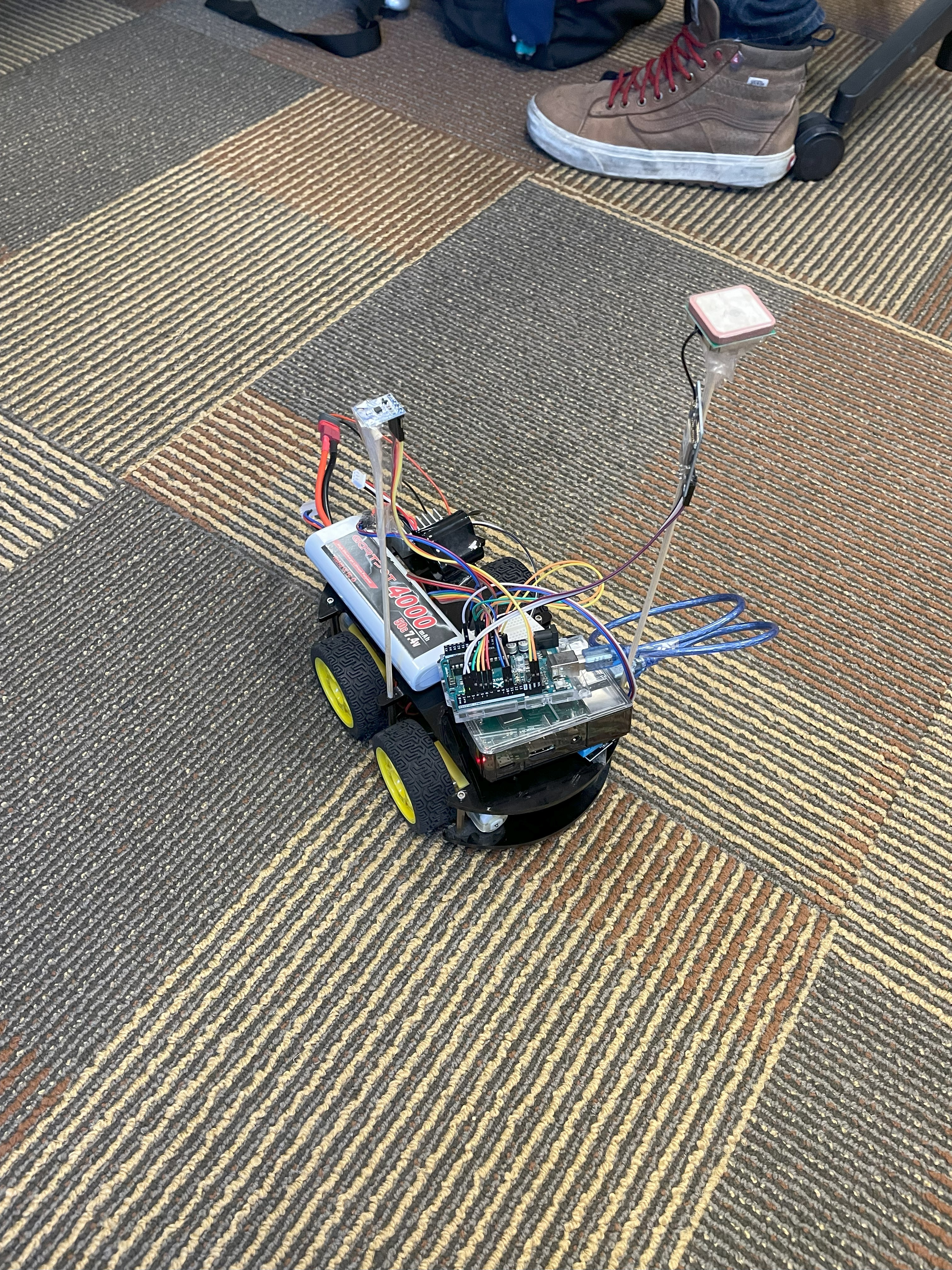 Rover on floor
